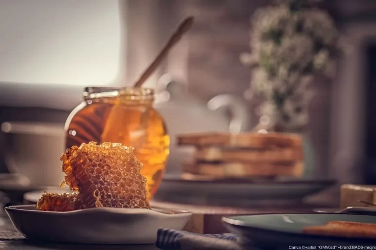 Mel no Seu Dia - transforme sua rotina